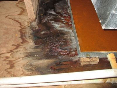 About Rubin Water Damage Henderson - water damage restoration experts in Henderson